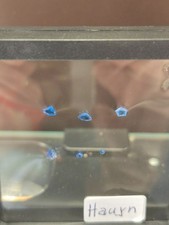 Edelsteine Sammlung (44Stk.) Hauyn, Bixbit, Painit, Tansanit, Smaragd Habachtal