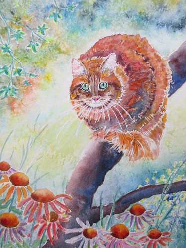 Auf der lauer 24x32 katze - der, "24x32