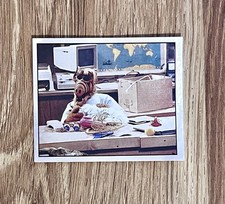 RAR  ALF - Nr. P Panini