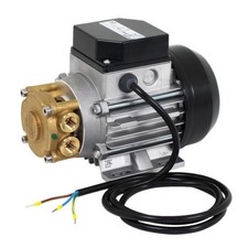 CEME MTP 600HP Peripheralradpumpe Kreiselpumpe Wasserpumpe 230V 0,3kW 1,15A