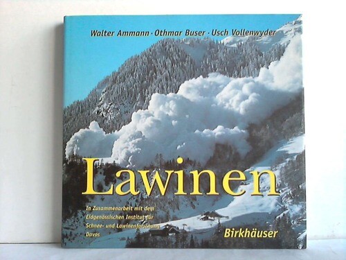 Lawinen