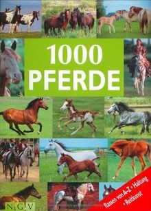1000 pferde rassen von z - 1000, a
