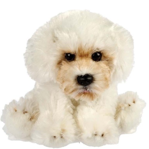 Malteser doodle kuscheltier - malteser,