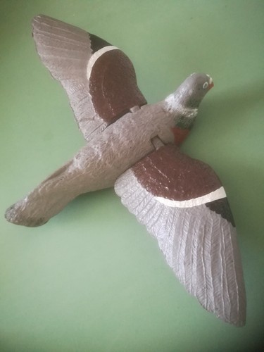 Locktauben für - 3,
