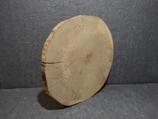Groß, Baumscheibe