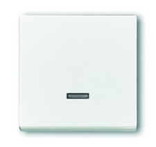 Busch-Jaeger FU/SO BED.EL.MEM-D. (6543-84-101)