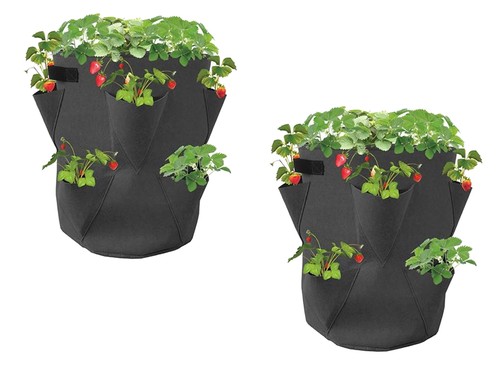 Erdbeer pflanzsack - 2x,