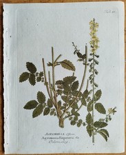 Odermennig Agrimonia + Vietz