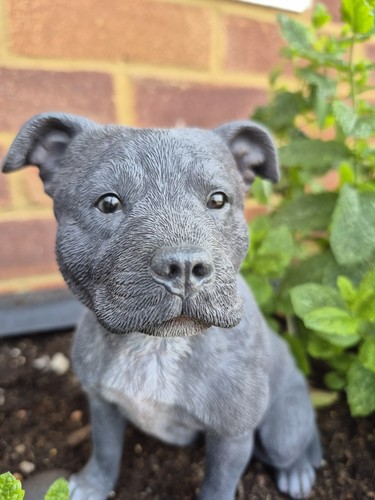 Staffordshire terrier figur - staffordshire,