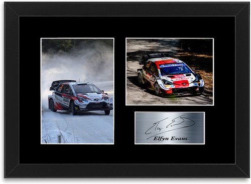 Elfyn evans world rally - elfyn, driver