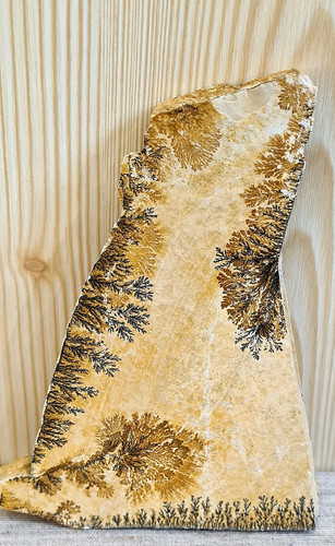Mangandendriten solnhofen - mangandendriten,