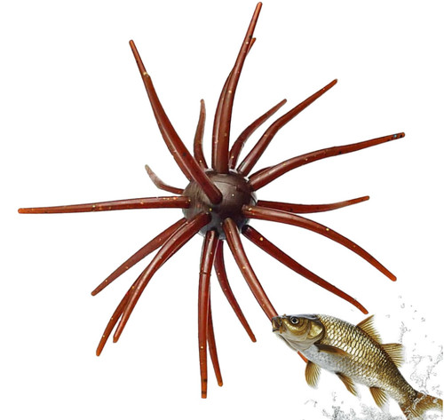 Sea urchin bass - sea,