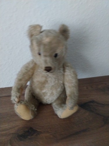 Alter steiff teddy - alter,