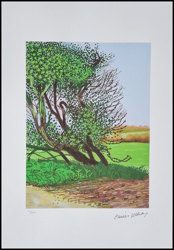 David hockney the arrival - *,