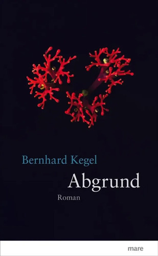 Abgrund roman bernhard - |, |