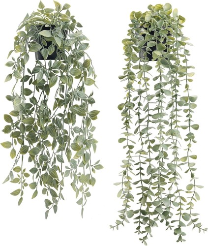 2er set künstliche eukalyptus - 2er,