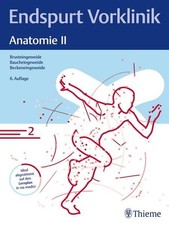 Endspurt Vorklinik: Anatomie