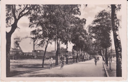 Hervest dorsten zeche - ak,