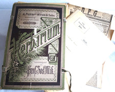 Herbarium 84 Blatt seltene Sammlung ab 1880 Region Nürnberger Land