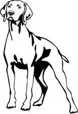 Rhodesian ridgeback aufkleber - rhodesian,