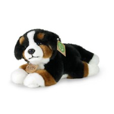 Berner Senenhund  H=13 cm, L=