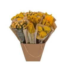 Getrocknete Blumen - Dried Mono Mix - Gelb - 50cm