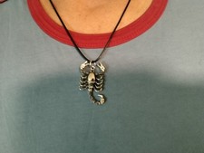 2 x Halskette mit Anhänger / Skorpion Silber & Gold