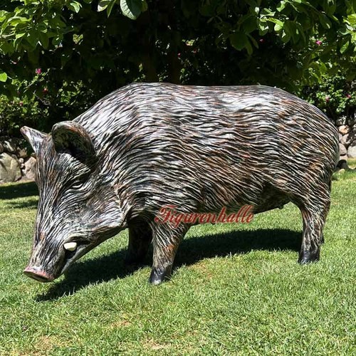 Wildschwein eber keiler - wildschwein,