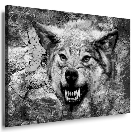 Bild wolf attack leinwand - attack,