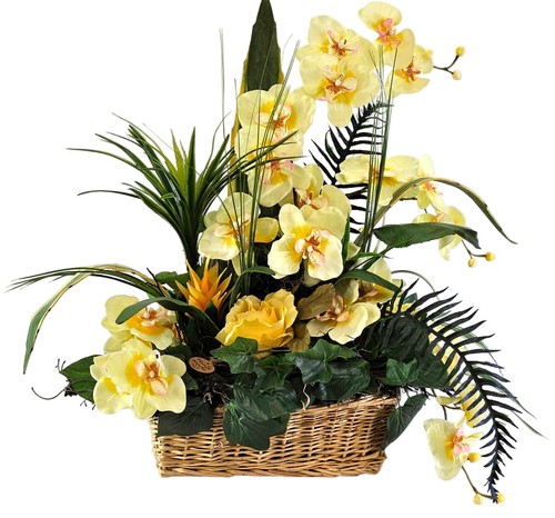 Casa poador orchideen - -,
