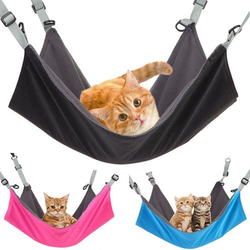 Stück katzen - 1,