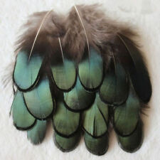 50stk  Fasan Hahnenfedern Flügelfedern Hahn Federn Pad Feather Schmuck