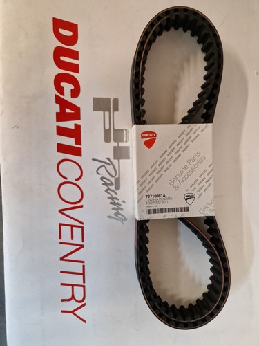 Original ducati monster - ducati,