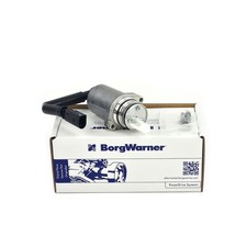 Borgwarner Hydraulikpumpe