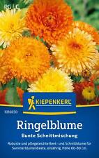 Kiepenkerl Ringelblumensamen Bunte Schnittmischung, für ca. 80 Pflanzen - essbar