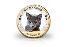 Euro katze russisch blau - euro,