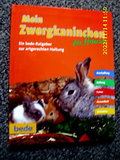 Mein Zwergkaninchen zu Hause