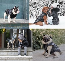 Canada Pooch North Pole Shiny