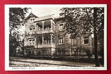 Dresden weißer hirsch - hirsch, um