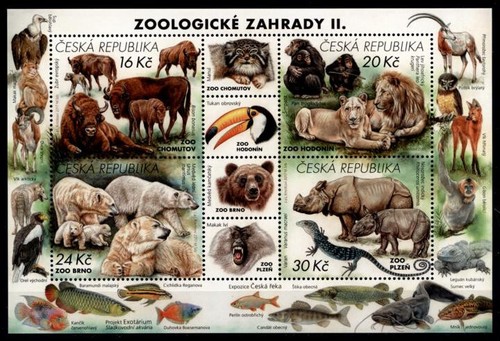 Zoo tiere a wisent - tiere,,