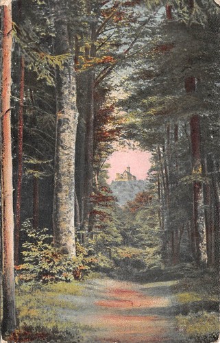 Wartburg durchblick von der - -,