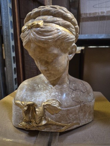 Büste iris kopf - iris, frau