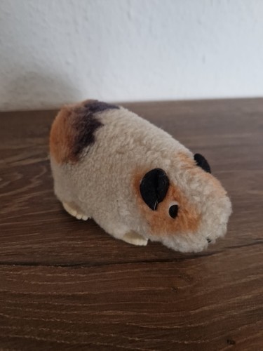 Kleines meerschweinchen von - meerschweinchen,