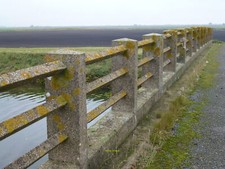 Foto 12x8 Fenland Felder von