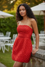 Carlyna festliches rotes