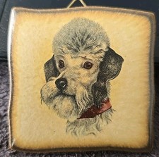 Vintage. Malerei auf Keramikfliesen. Hund Pudel.  5,5 Cm × 5,5 Cm