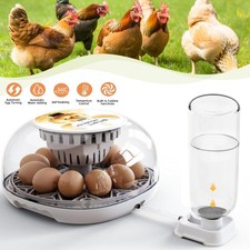 Inkubator Brutautomat 12 Eier