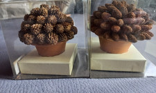 Trocken Natur Deko im Topf Ø 10 cm Basteln Floristik