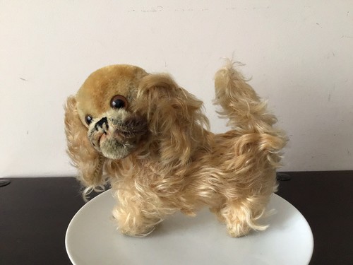 Vntage steiff hund - knopf, im