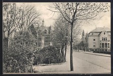 Ansichtskarte Dessau, Straßenpartie mit Bäumen 1908 